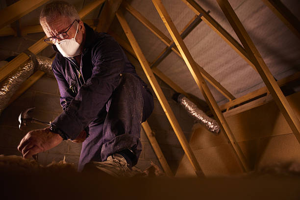 Best Insulation Maintenance and Repair in Hurricane, UT
